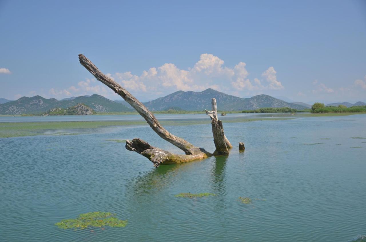 โรงแรมเพลิแกน วีร์ปาซาร์ เวียร์ปาซาร์ ภายนอก รูปภาพ